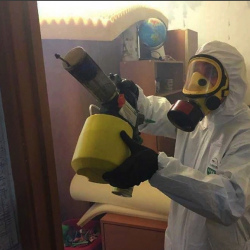 Уничтожение клопов в квартире. Мещерское
